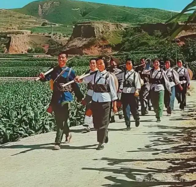 检方调取伍兹醉驾案医疗记录